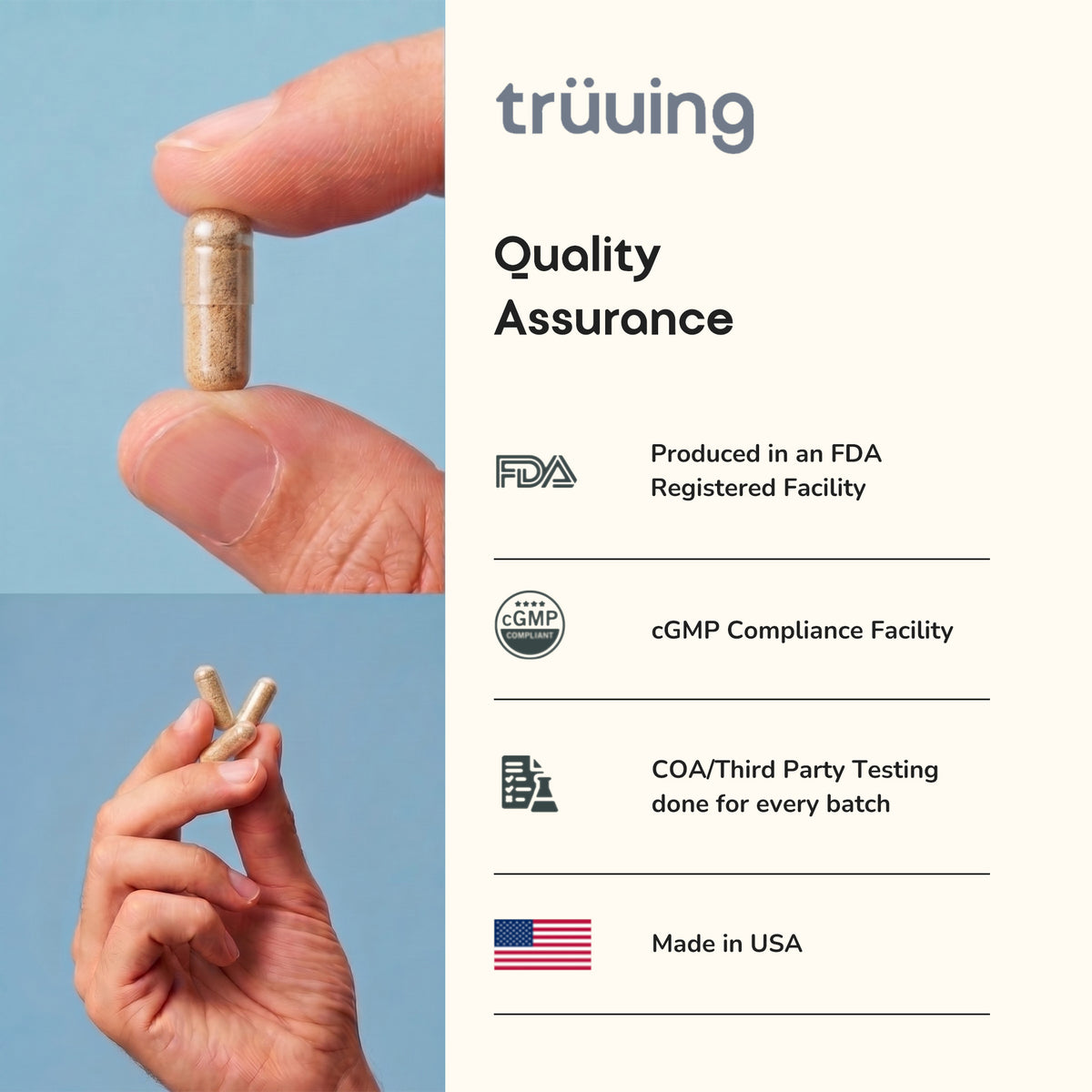 Longevity Bundle Quality Assurance