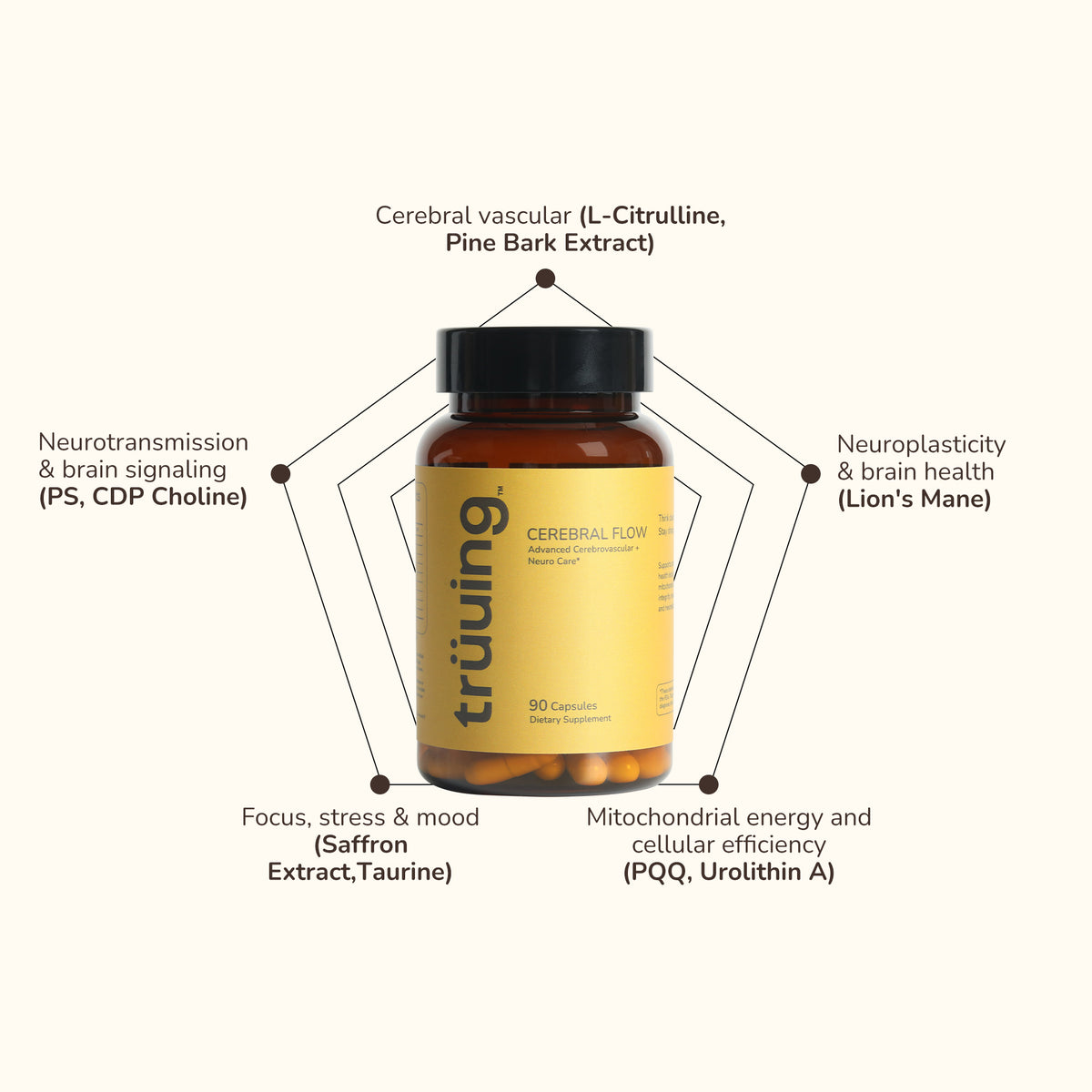 An informational graphic centered on a bottle of trüiþng dietary supplement, with callout lines and text listing benefits such as cerebral vascular, neurotransmission, neuroplasticity, focus, and mitochondrial energy on a light beige background.