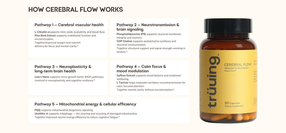 A supplement bottle labeled 'truuing' with a black cap and yellow label, shown beside a text panel explaining how cerebral flow works. The bottle appears amber/yellow with a black cap, and the background is a very light warm gray/beige.