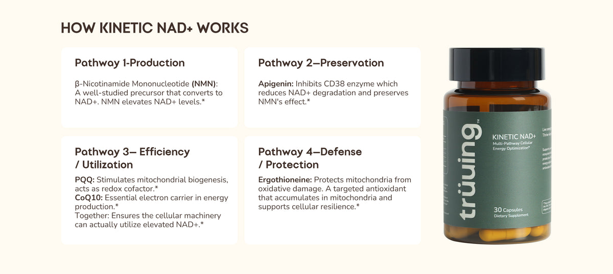 An informational graphic on a warm beige background explaining how Kinetic NAD+ works, with text blocks detailing pathways and a dark olive-green bottle labeled 'truuing' on the right.