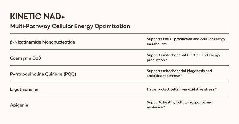 Table listing Kinetic NAD+ components and their functions on a white background